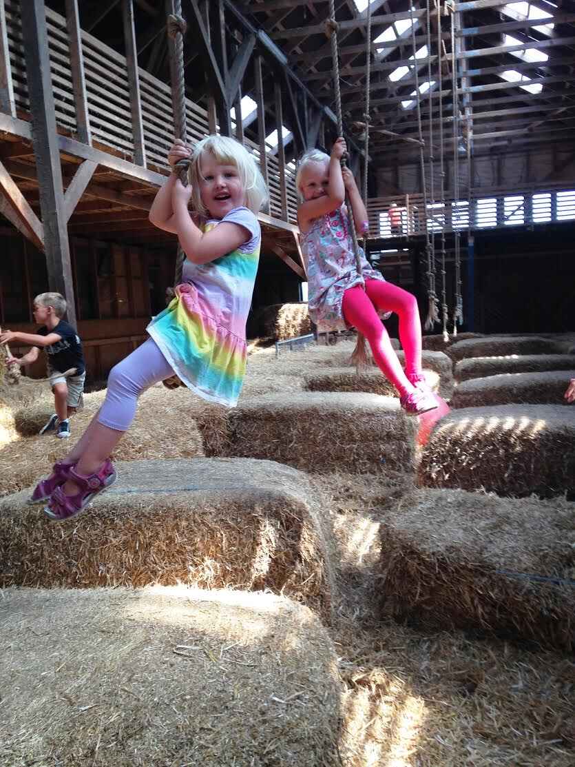 farmfun4.jpg