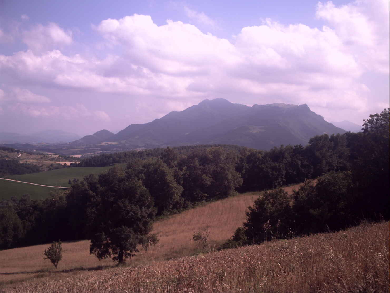 Marche 51