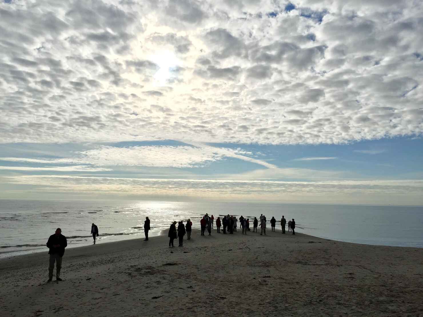 grenen.jpg