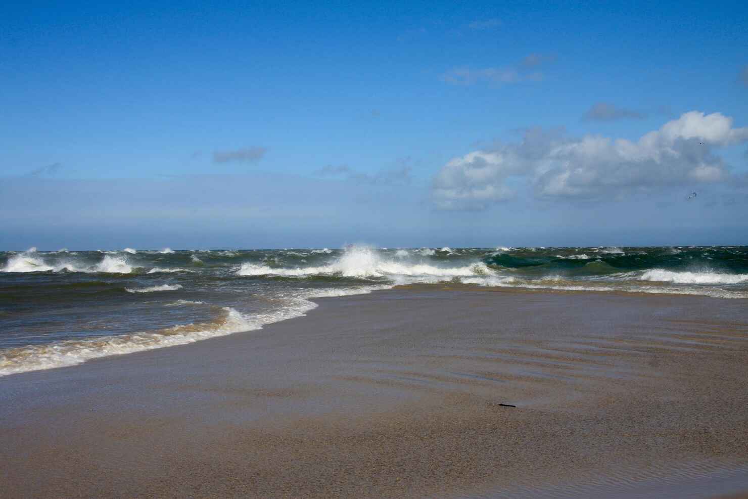 grenen1.jpg