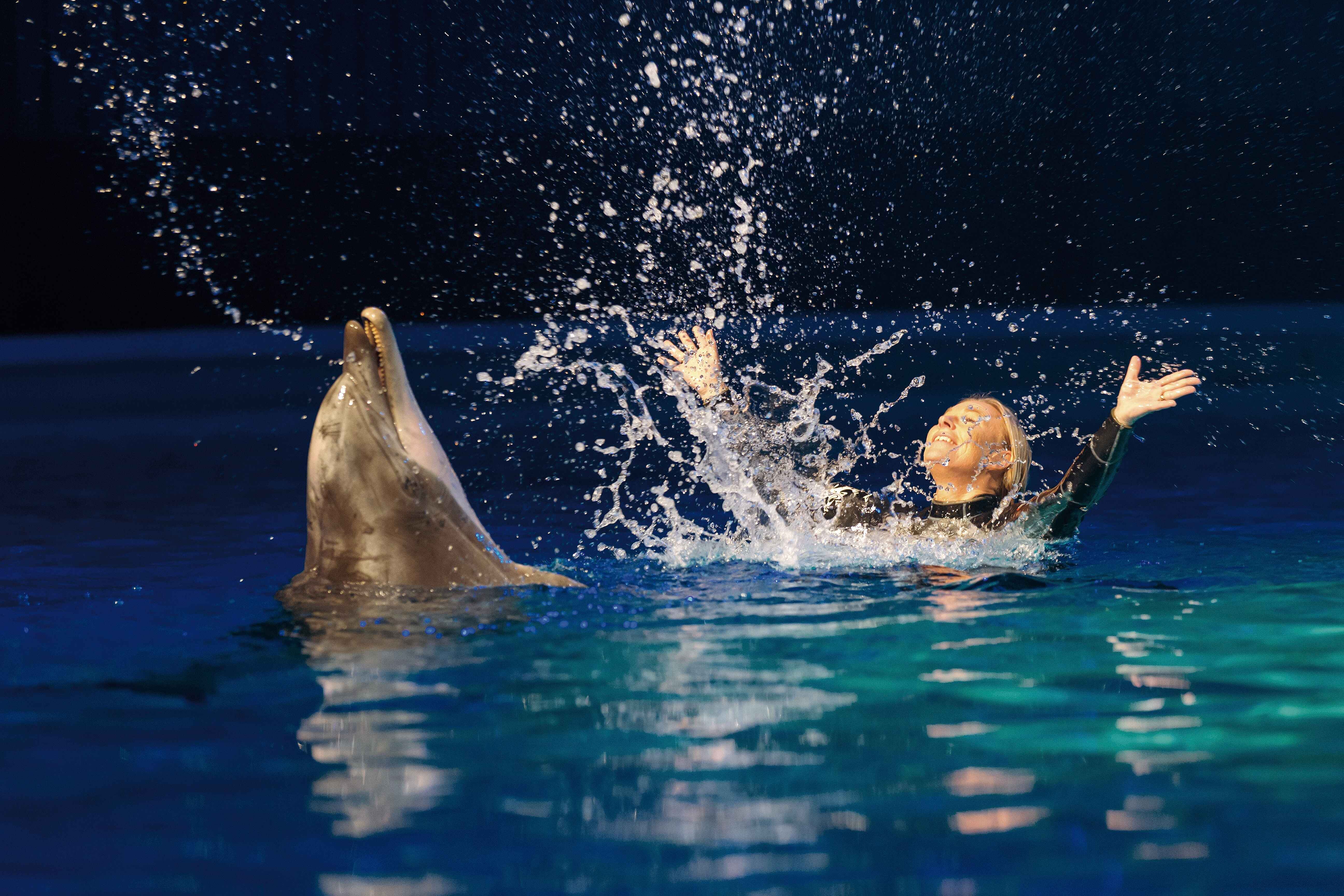 Kolmården-delfinarium2.JPG