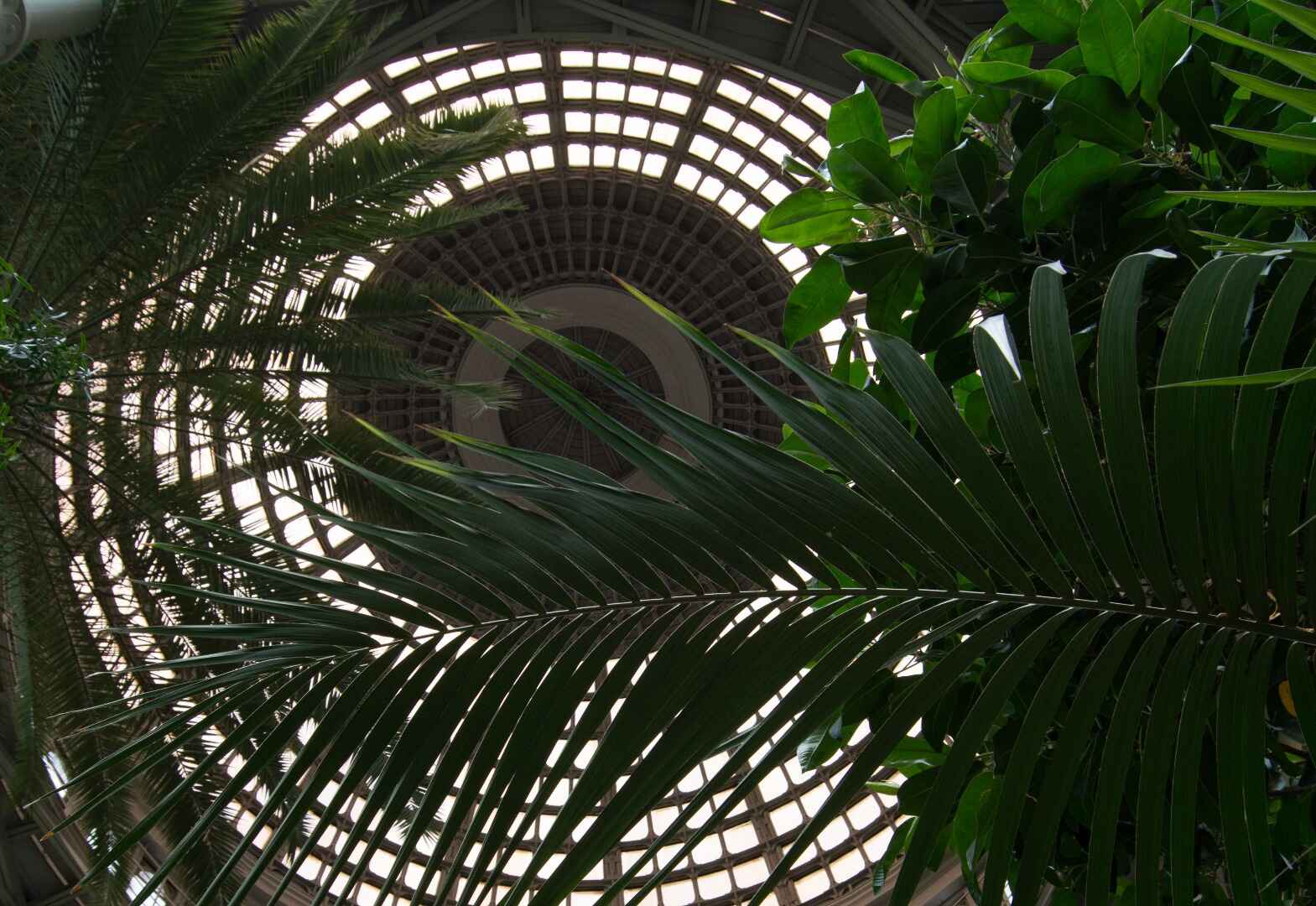 Glyptoteket-30.jpg