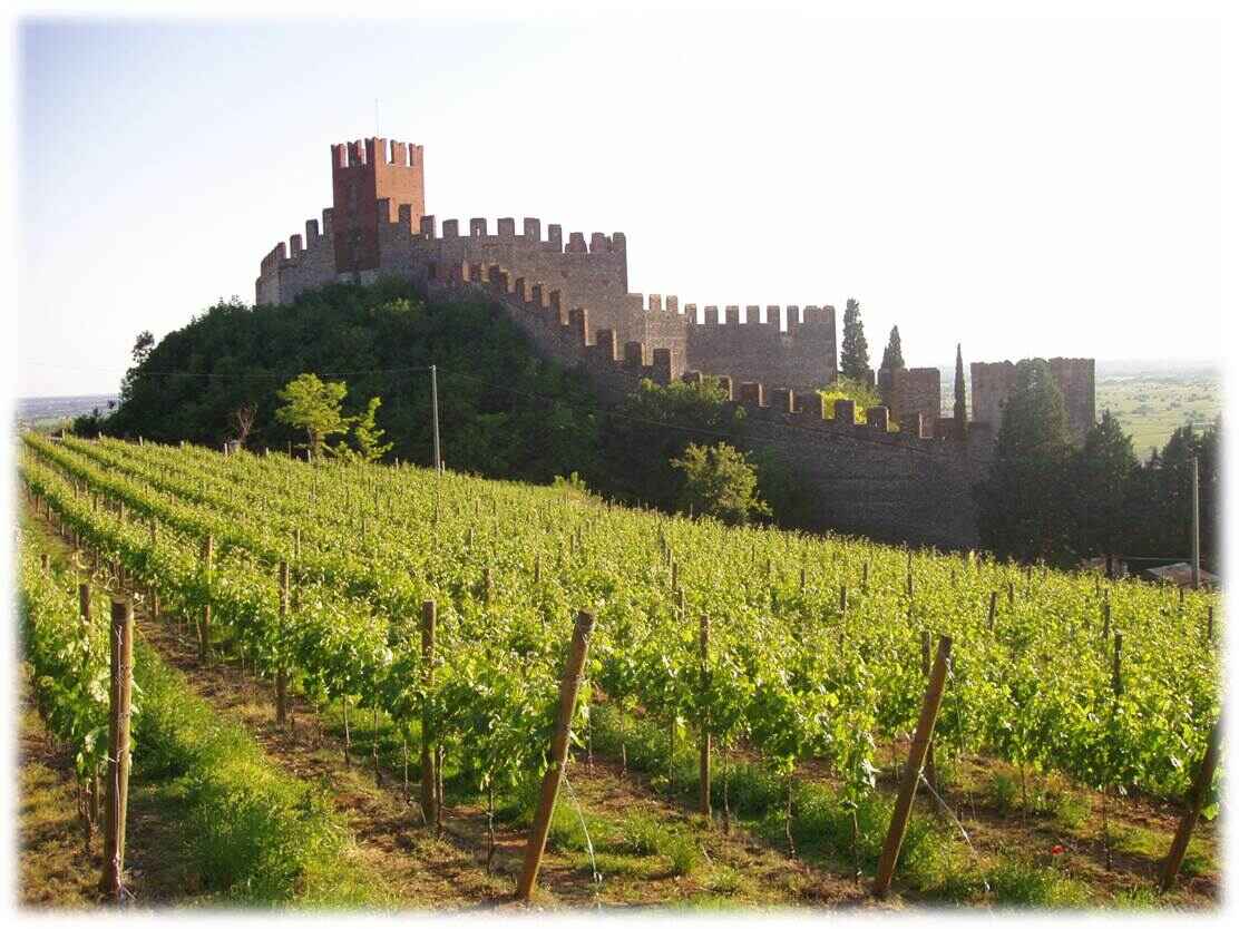 Soave