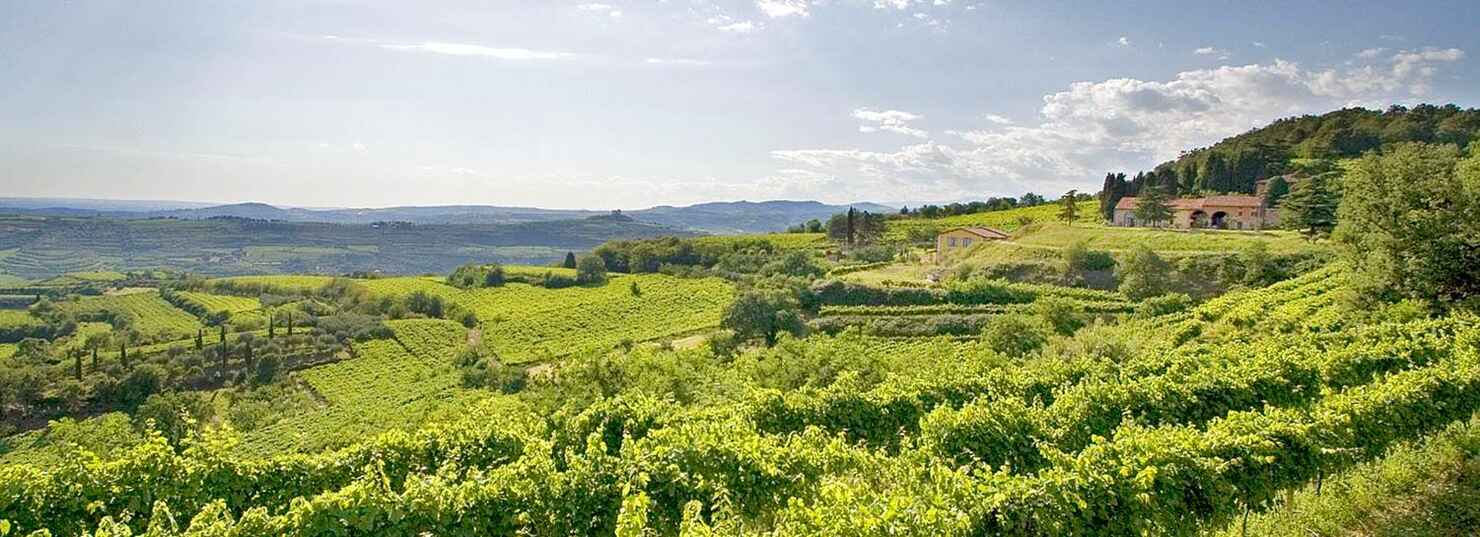 Valpolicella
