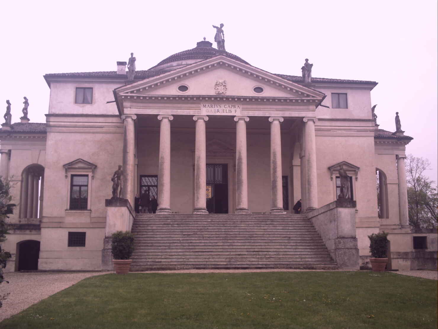 Nærbillede