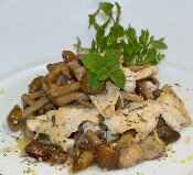 funghi