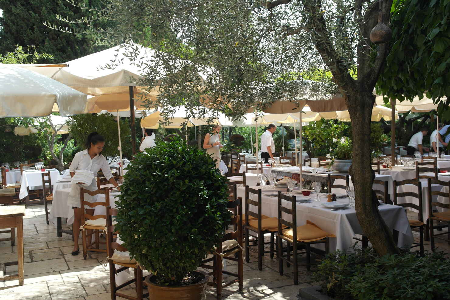 Restaurant Colombe d´Or, saint Paul de Vence, august 2014
