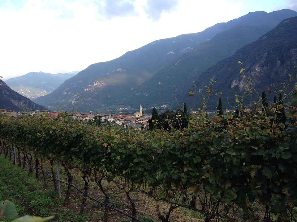 View over Alto Adige