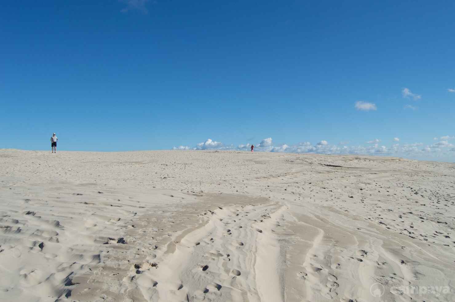 Råbjerg-mile-7.jpg