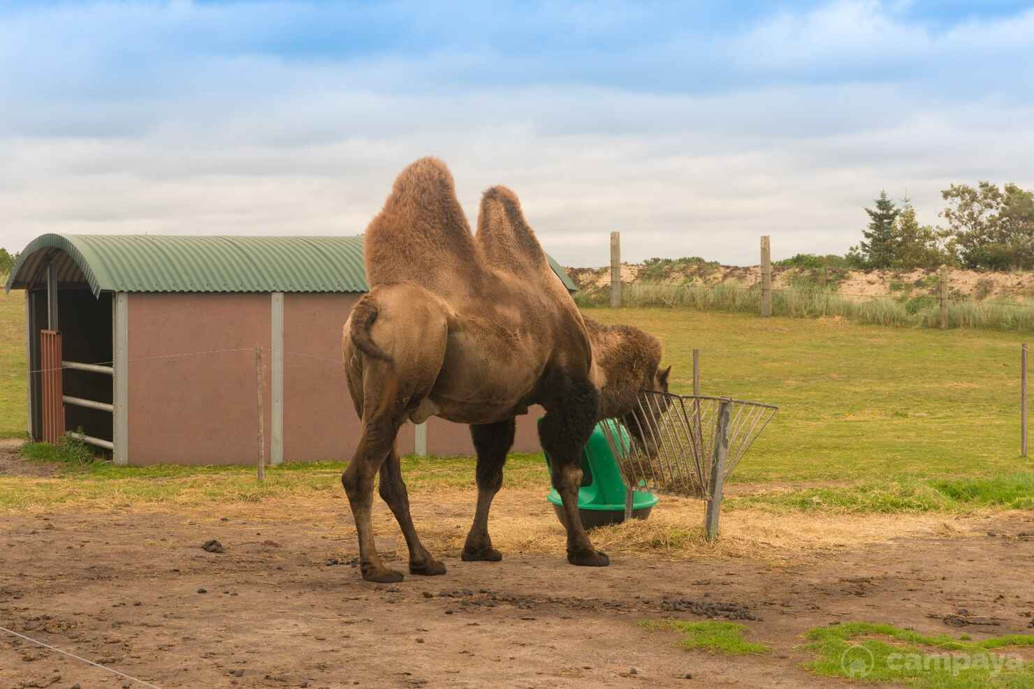 Blåvand Zoo-3.jpg