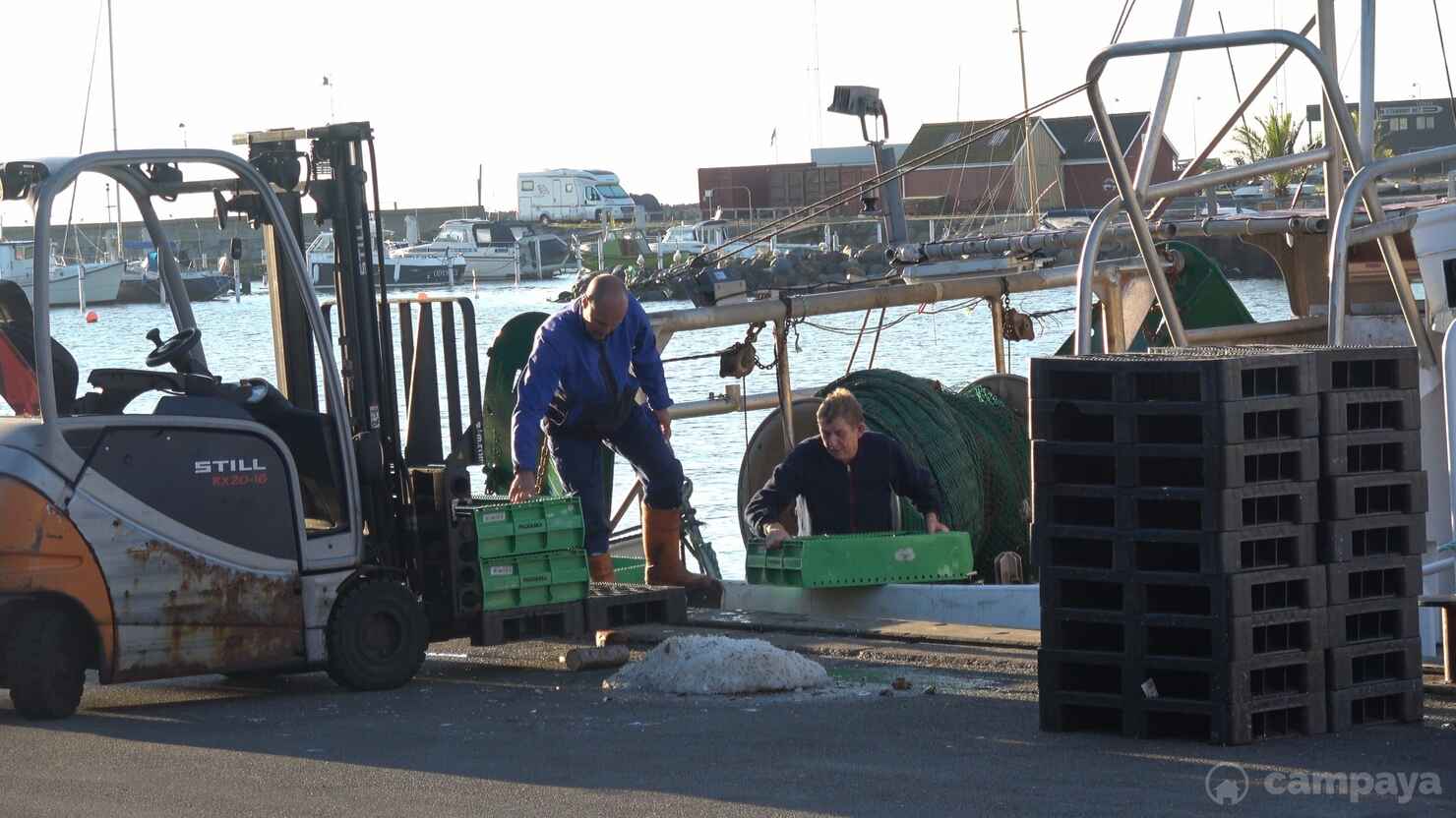 Strandby-fiskeauktion-2.jpg