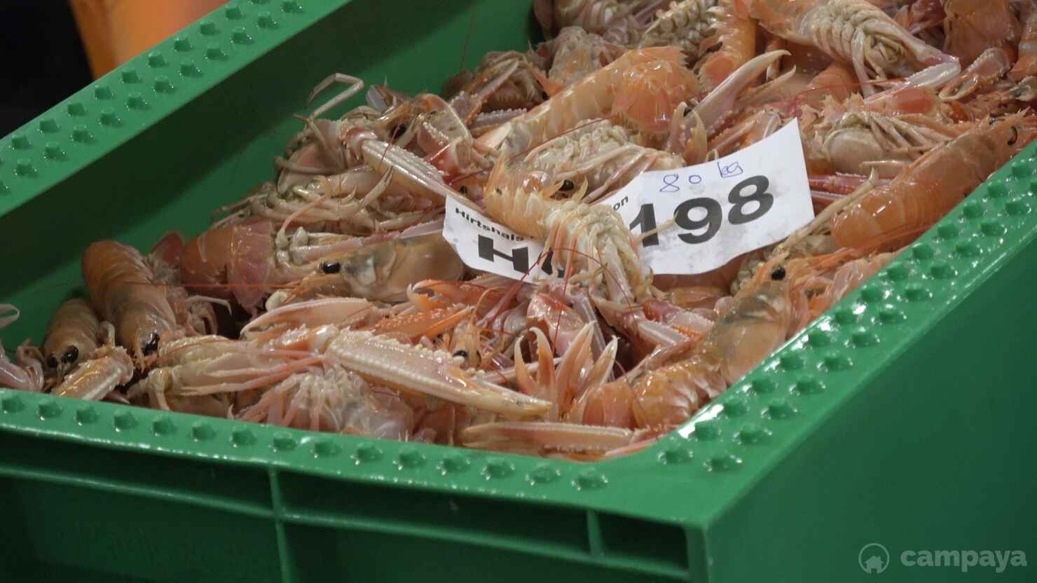 Strandby-fiskeauktion-5.jpg