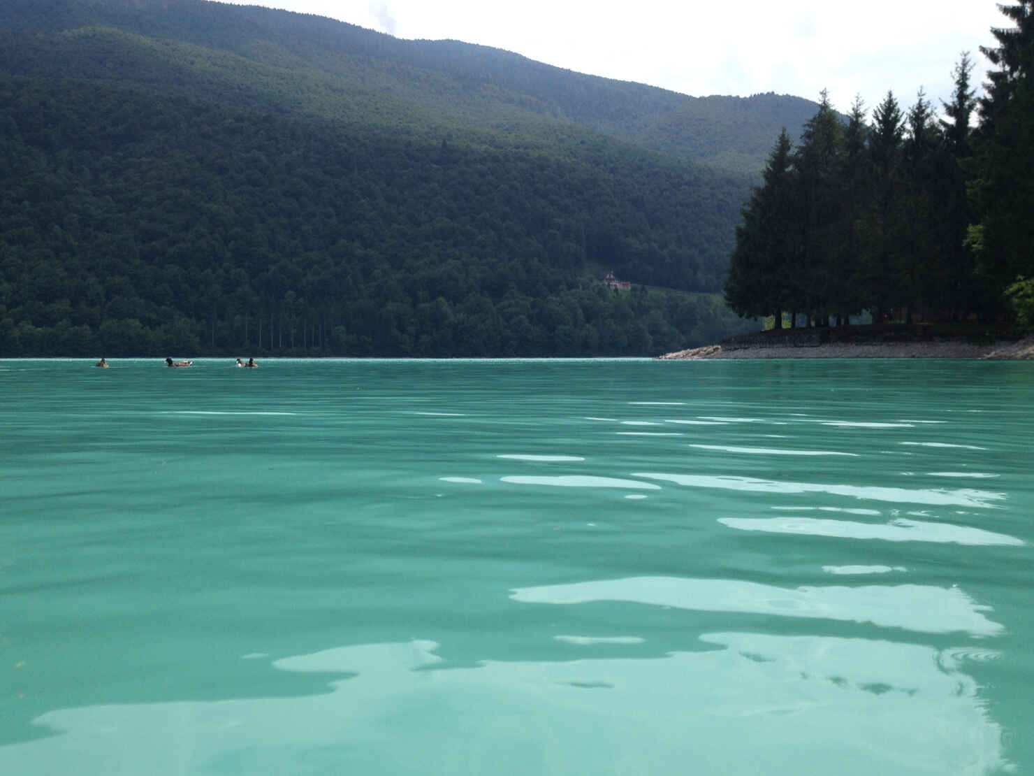 tranquil cove