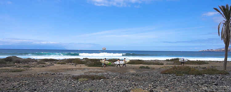 Summer paradise in Tenerife