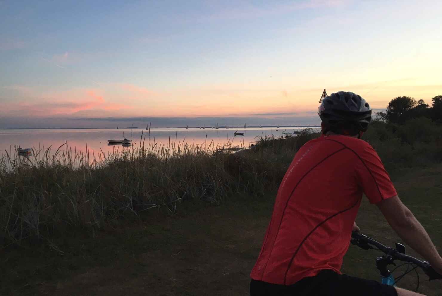 ullerup skov vielskerhalsnaes.dk.jpg