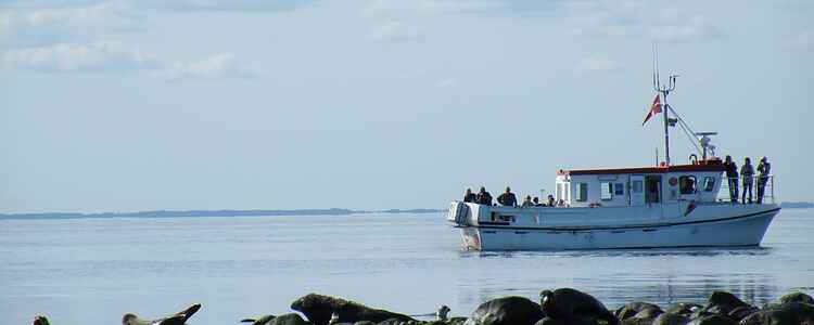 6 af de bedste seværdigheder og oplevelser på Læsø (2020)