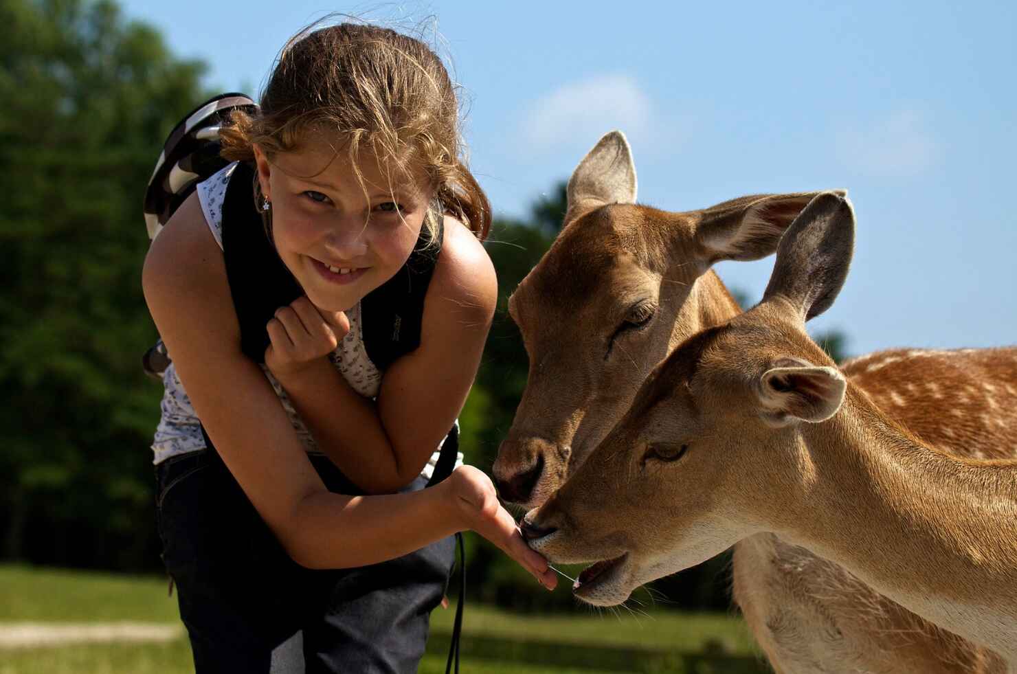 Skandinavisk Dyrepark