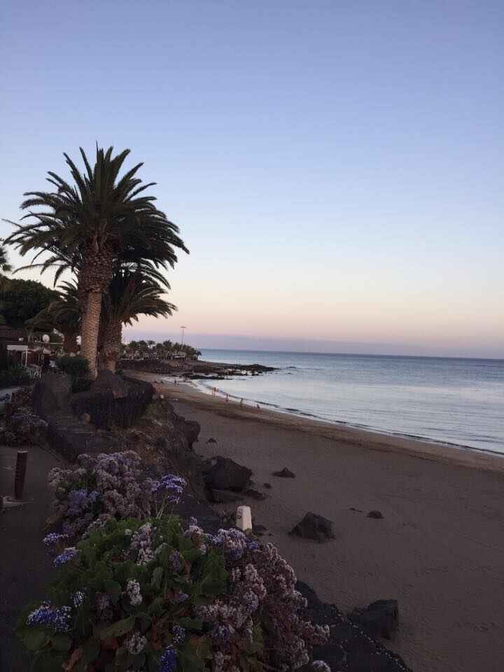 beachview